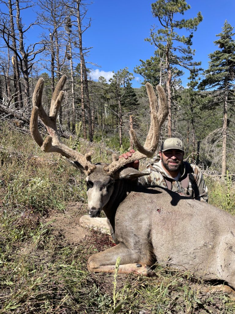 colorado hunting guide